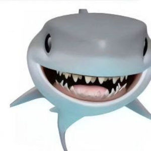 Meet your Posher, Xiaojie